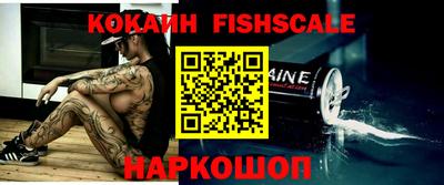 СК Боровичи