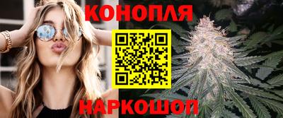 сатива Белореченск