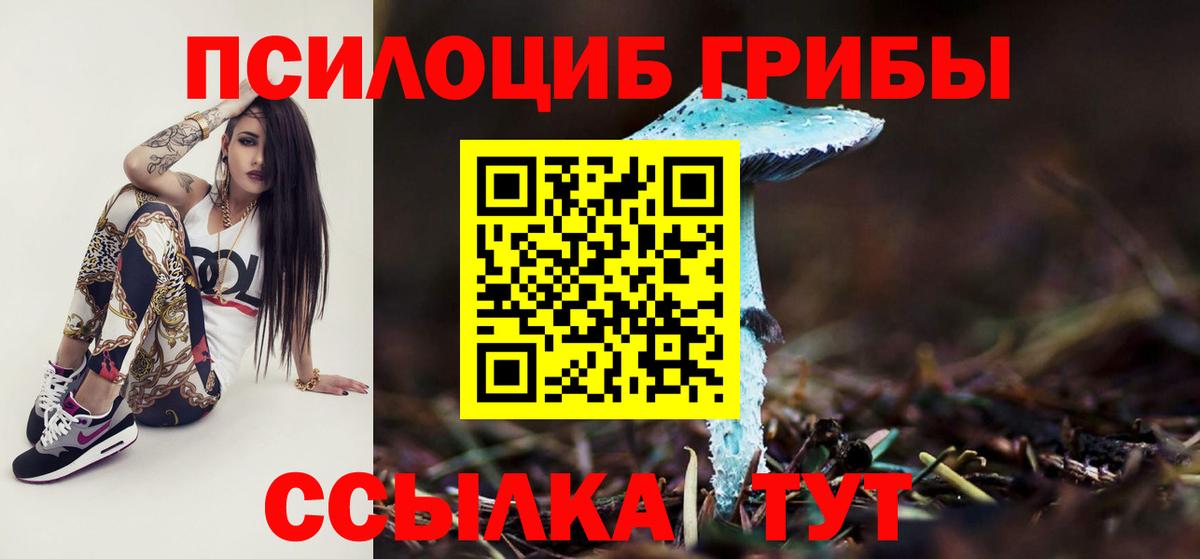 Псилоцибиновые грибы Psilocybe Всеволожск